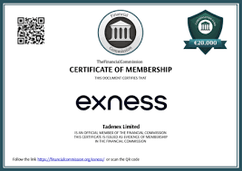 Understanding Exness Pakistan A Comprehensive Guide